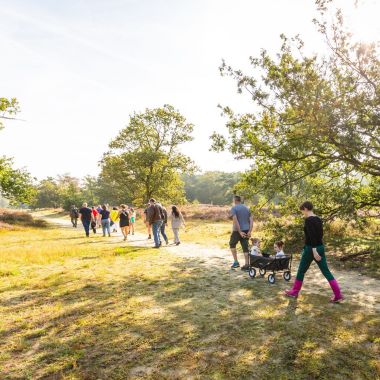 Groep wandelt op de Kesselse Heide