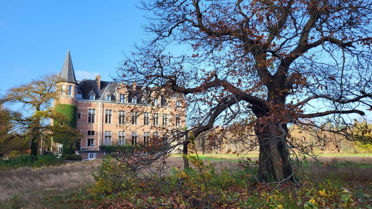 Vrieselhof_Biodiverse bomen_H