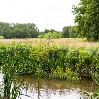 Schijn Vrieselhof