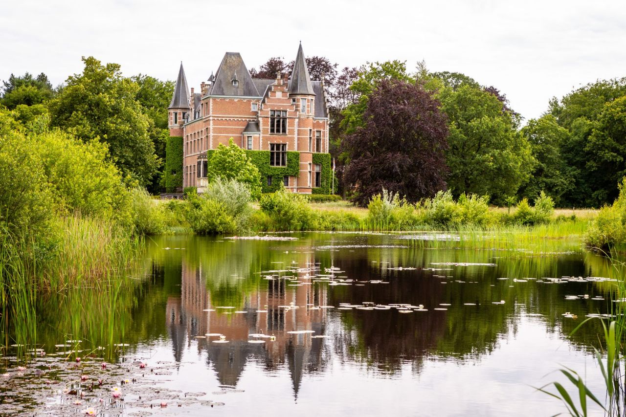 Kasteel Vrieselhof vijver