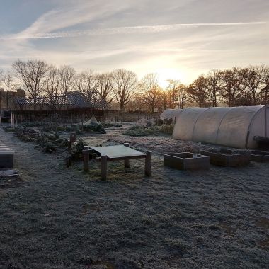 Rivierenhof_moestuin in de winter_kinderboerderij