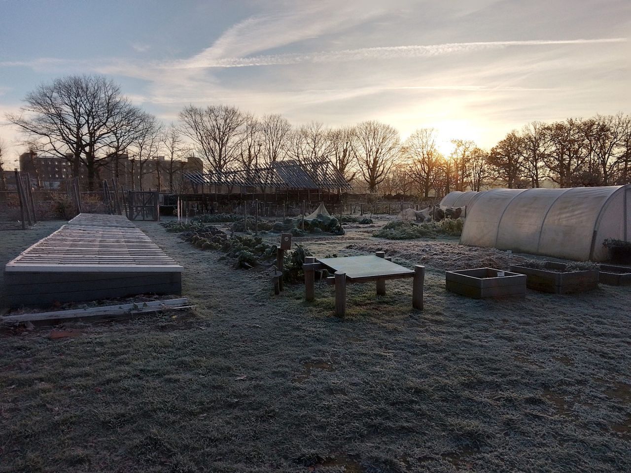 Rivierenhof_moestuin in de winter_kinderboerderij