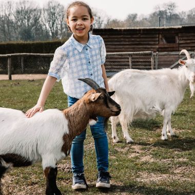 Kind bij geit Kinderboerderij