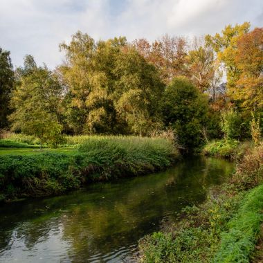 Schijn Rivierenhof