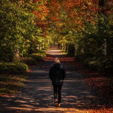 Herfst Rivierenhof