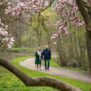 Wandelaars bij magnolia