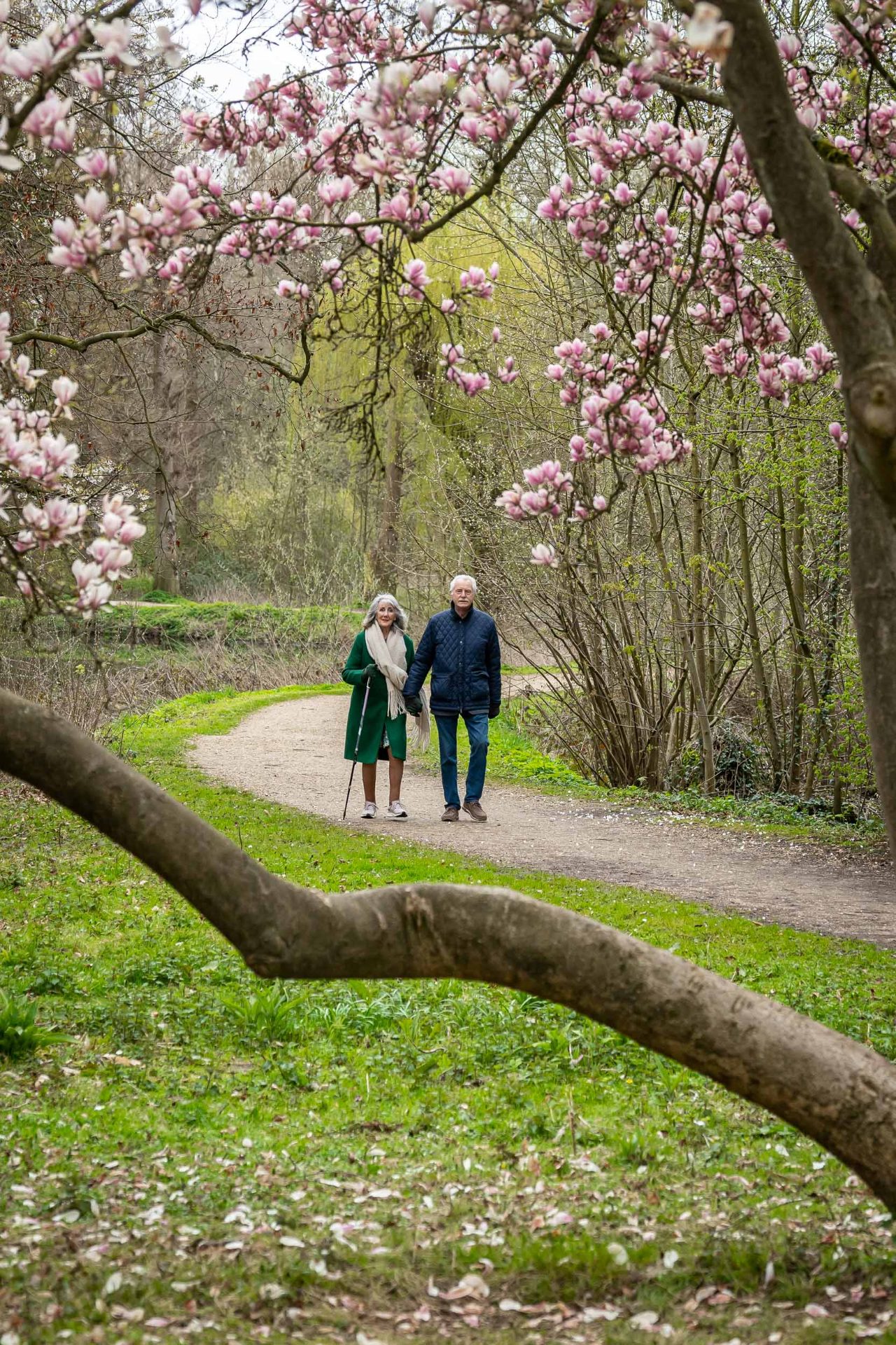 Wandelaars bij magnolia