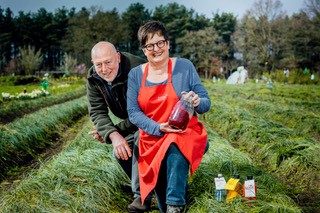 Belgische safraan_tuinkriebels_vrieselhof