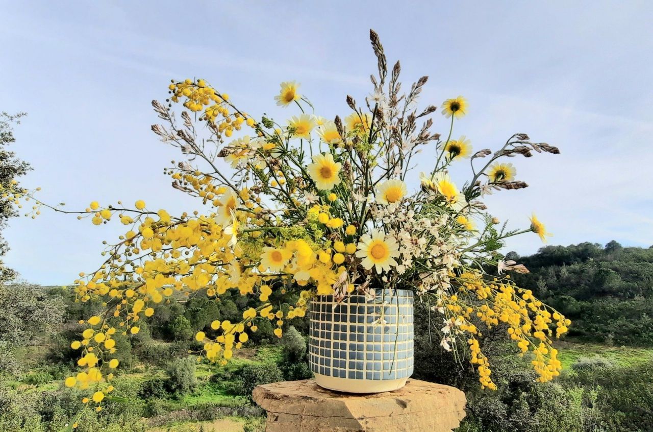 Kleur in je leven_Tuinkriebels_Vrieselhof