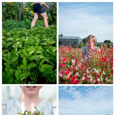 Kruiden_Volckaert_Tuinkriebels_Vrieselhof