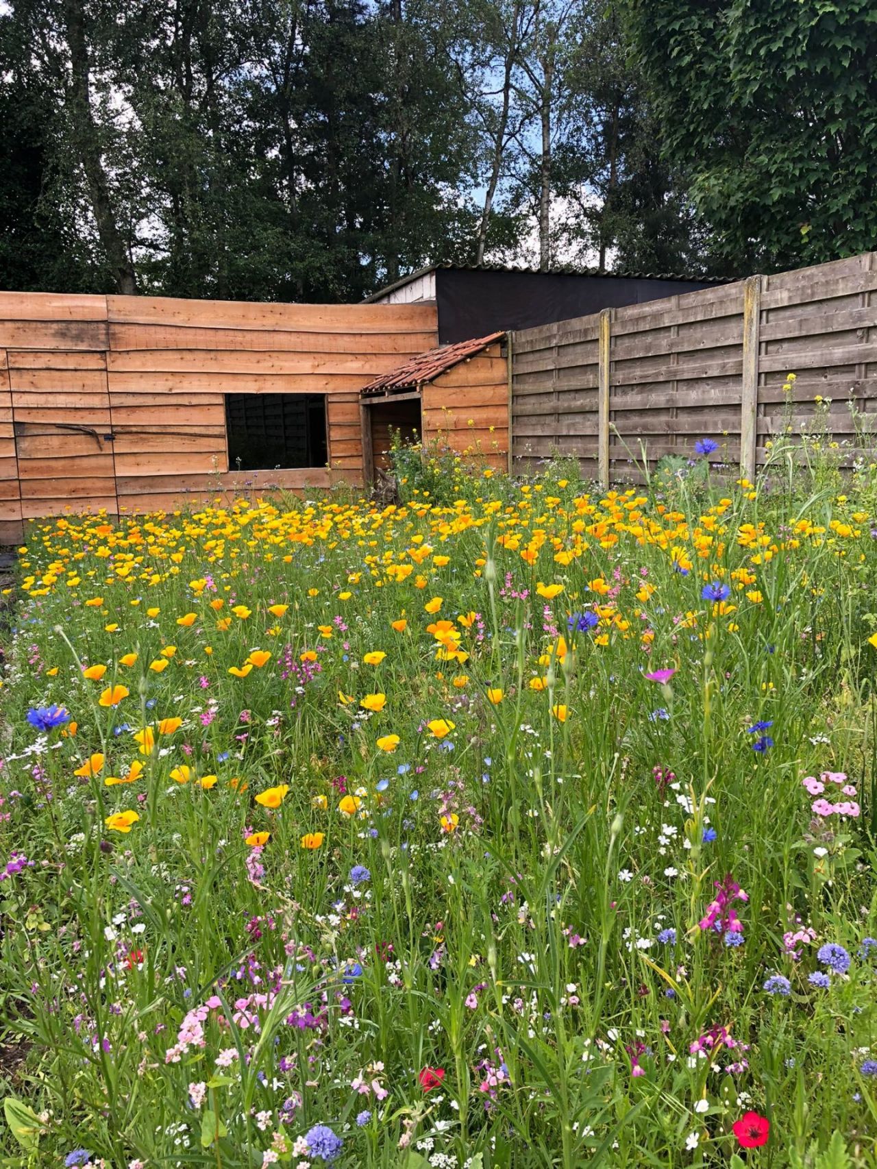 Wild van tuinen_Tuinkriebels_Vrieselhof