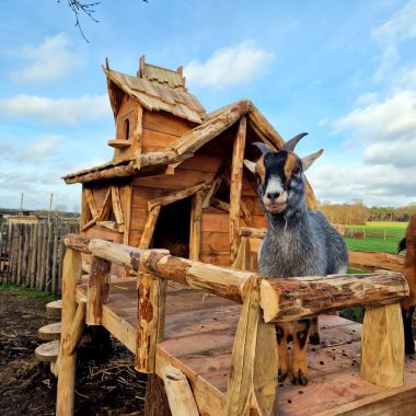 Wicked Castles_Tuinkriebels_vrieselhof