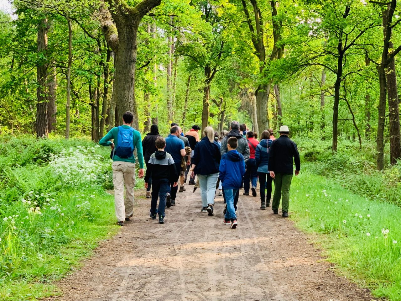 Wandelaars in het bos