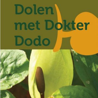 Dokter Dodo