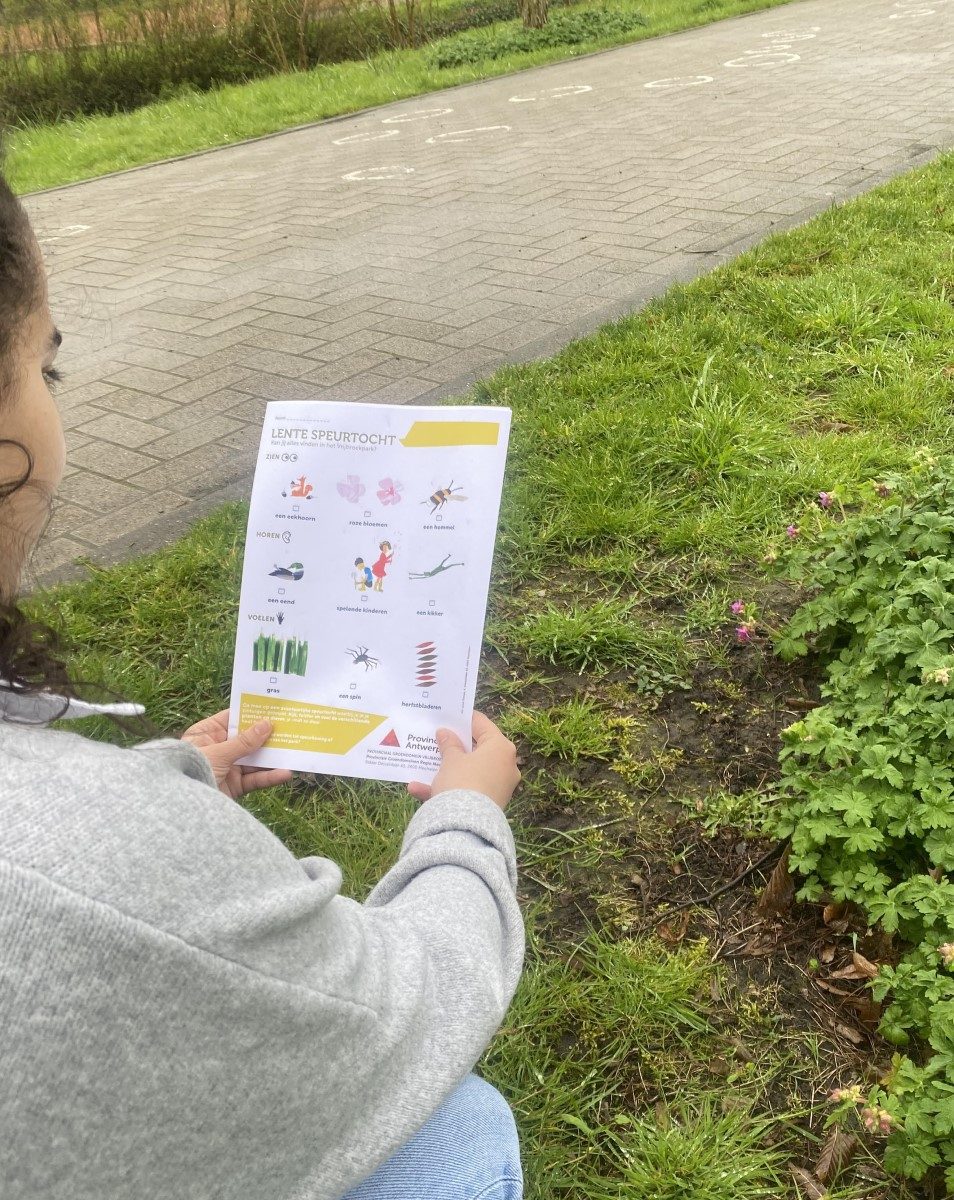 meisje kijkt naar formulier lentespeurtocht en roze bloemen in het park