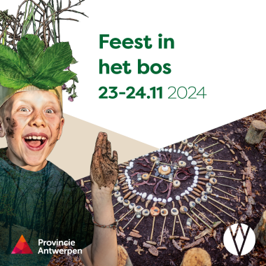 Natuurworkshop voor kinderen - feest in het bos