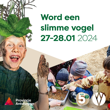 Workshop word een slimme vogel