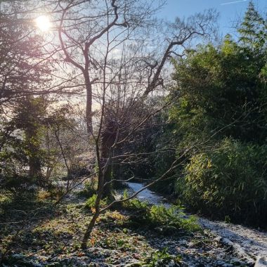 Winterwandeling Vrijbroekpark