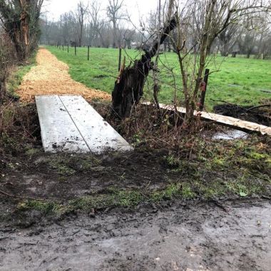 eekhoornpad van nieuwe parking naar Vrijbroekpark