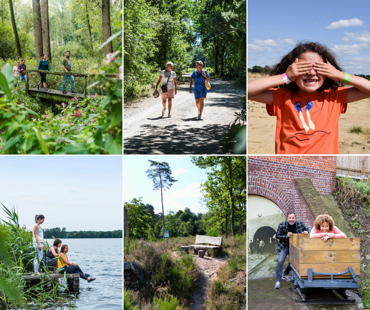 The best of Wandeling van het Jaar 2024