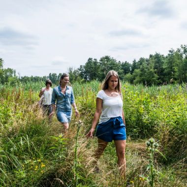 Fietsen en wandelen