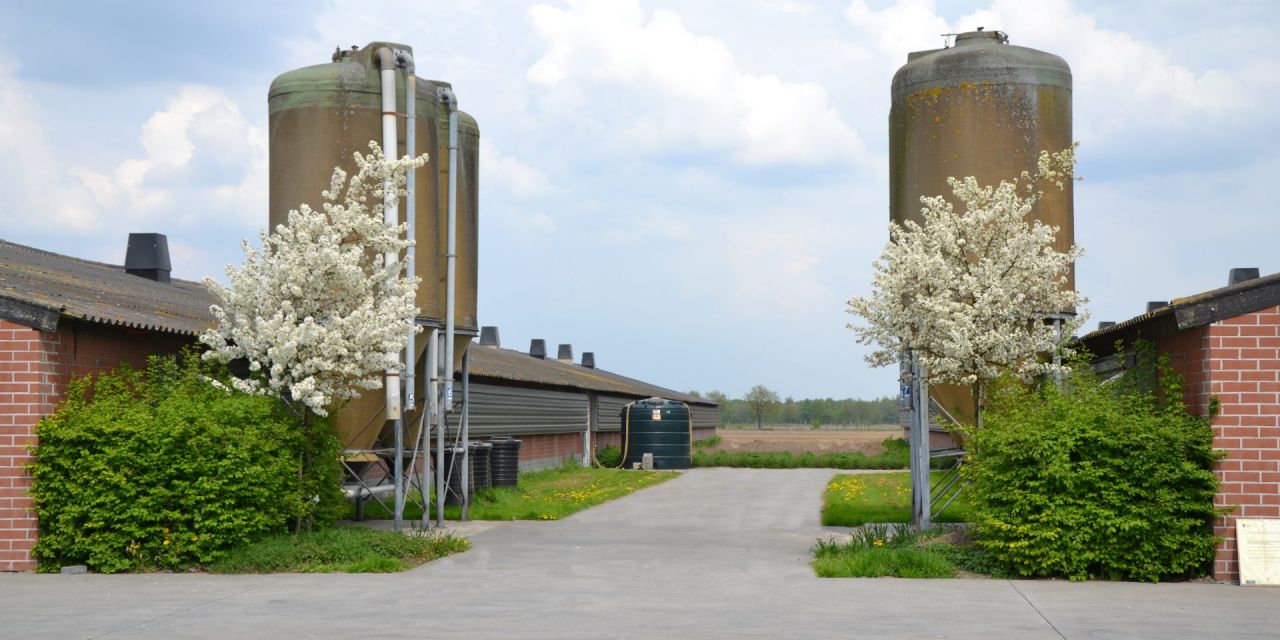 voorbeeld erfbeplanting