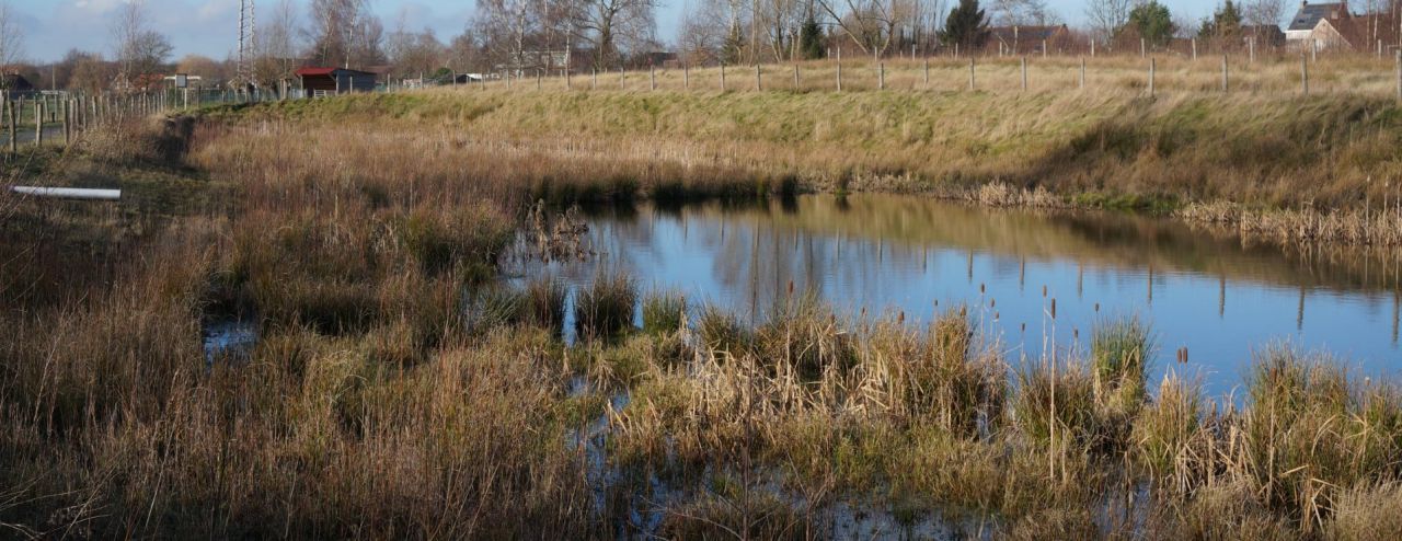 Bufferbekken van de Molenbeekse Plassen