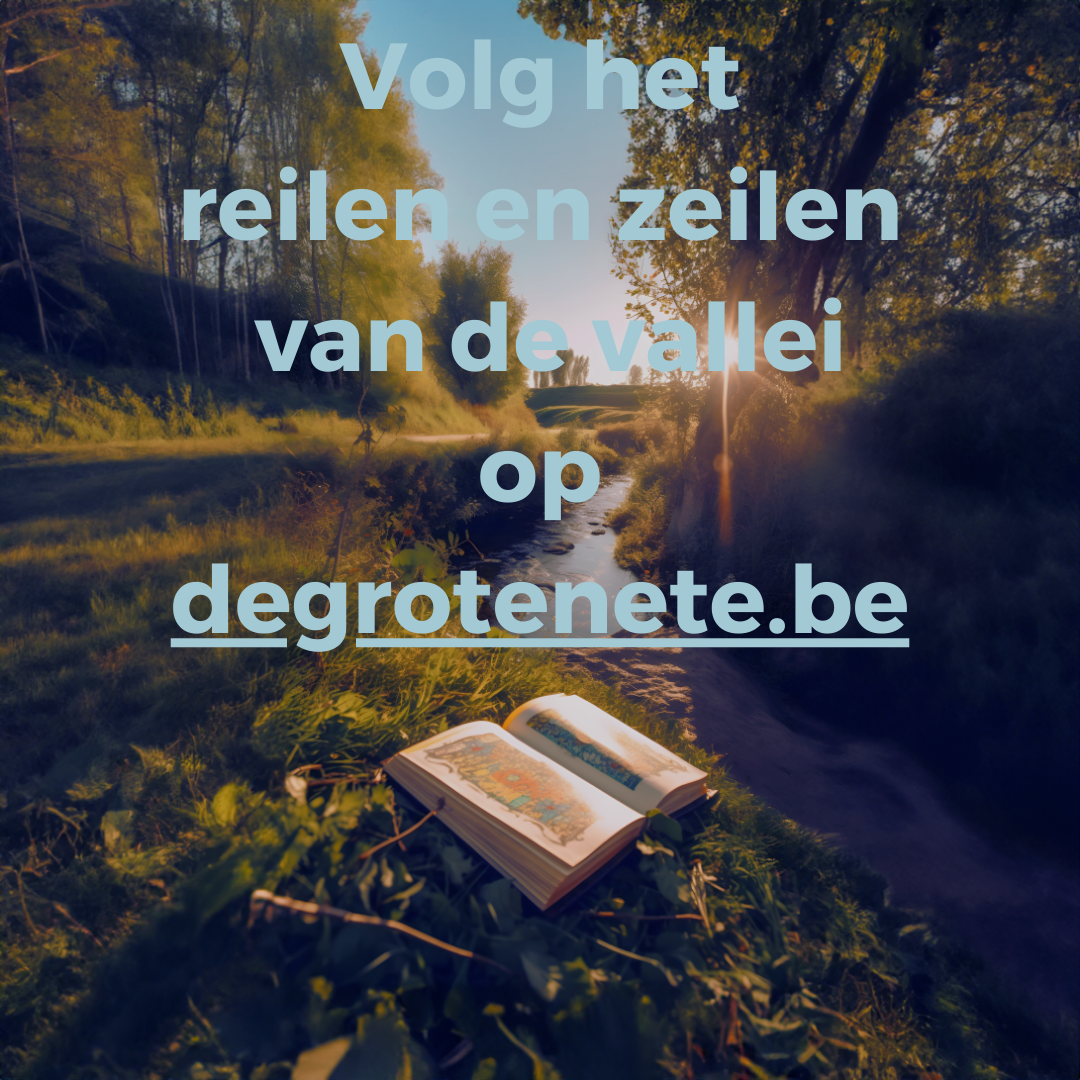 doorverwijzing website grote nete