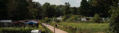 moestuinen tussen de Olympiadelaan, de spoorweg en het station van Herentals