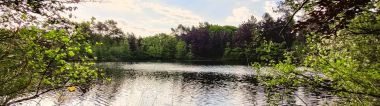 Het wateroppervlak van een ven, omzoomd door bomen, struikgewas en planten.