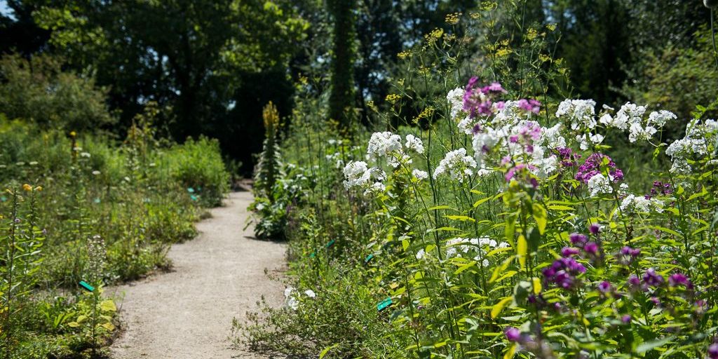 Plantentuin