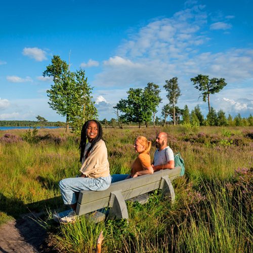 Genieten van heide en natuur