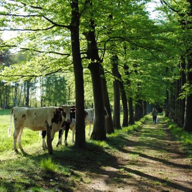 SDG 7 - Betaalbare En Duurzame Energie - Provincie Antwerpen