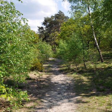 Landschap De Liereman ecosysteemdiensten