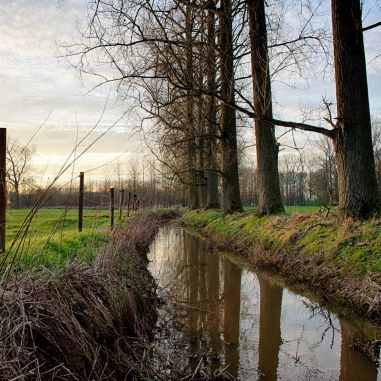 Opgaande zon aan de Varendonkse Beek