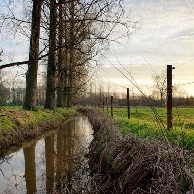 waterloop tussen de velden